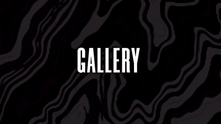 Gallery Banner