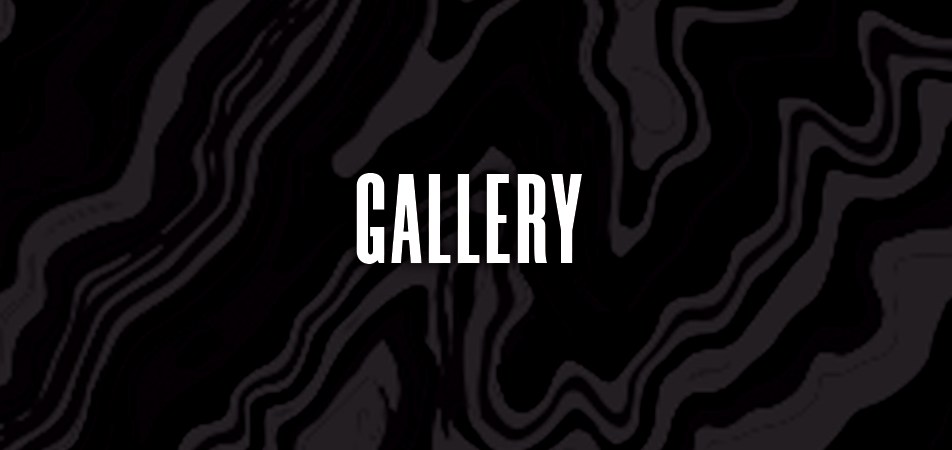 Gallery Banner