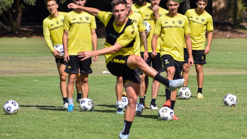 Wellington Phoenix