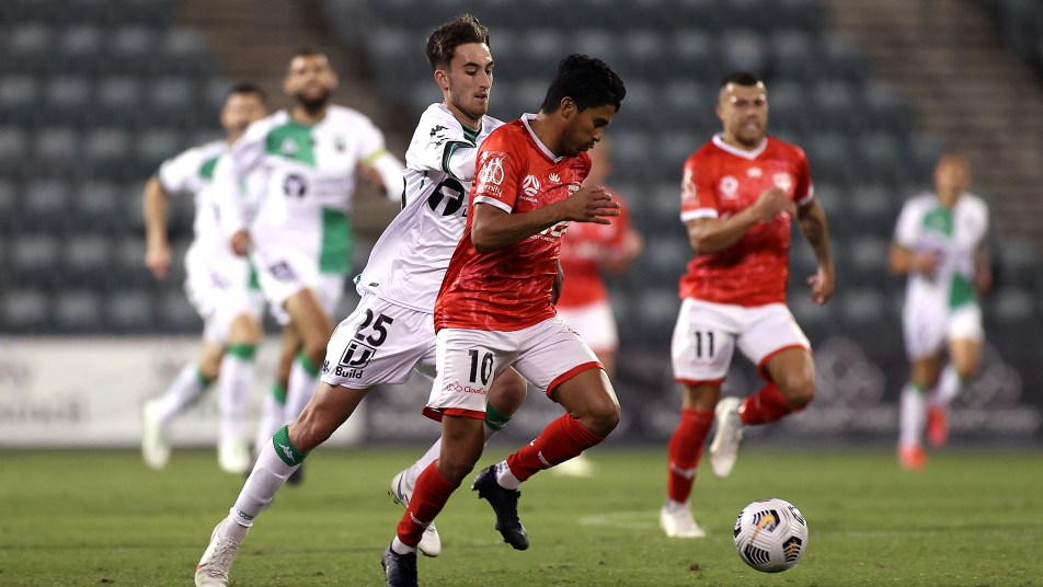 Wellington Phoenix