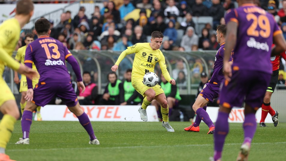Wellington Phoenix