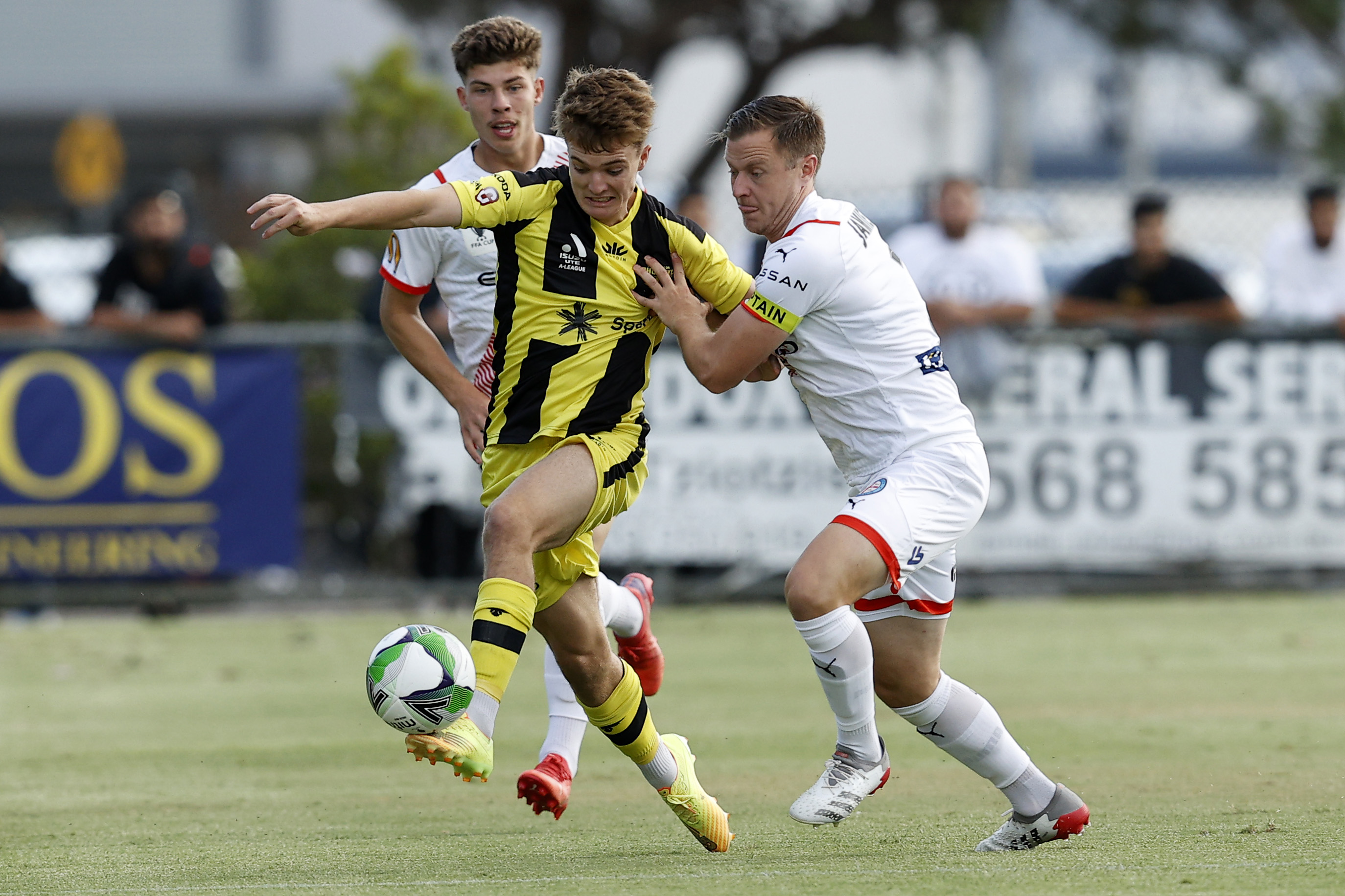 Wellington Phoenix vs Western United 2024/2025 Live Score Sunday