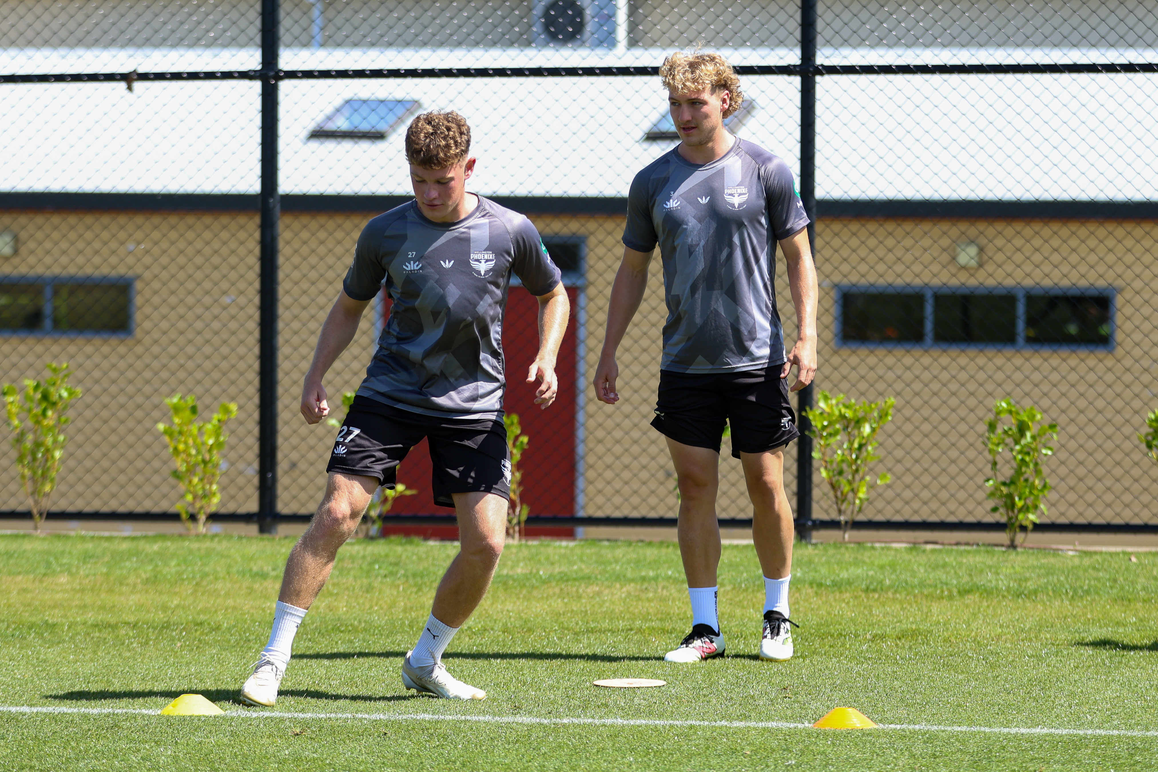 Thrilling Showdown Awaits Wellington Phoenix vs. Central Coast Mariners
