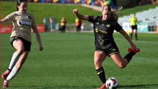 Academy Roundup – Week 24
