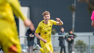 Academy Roundup – Week 29