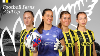 Nix quartet called up to Ferns