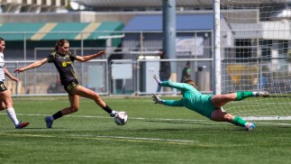Academy Roundup – Week 28
