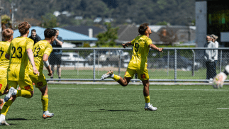 Academy Roundup – Week 33