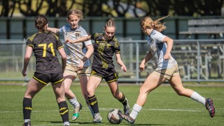 Academy Roundup – Week 32