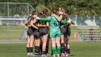 Academy Roundup – Week 31