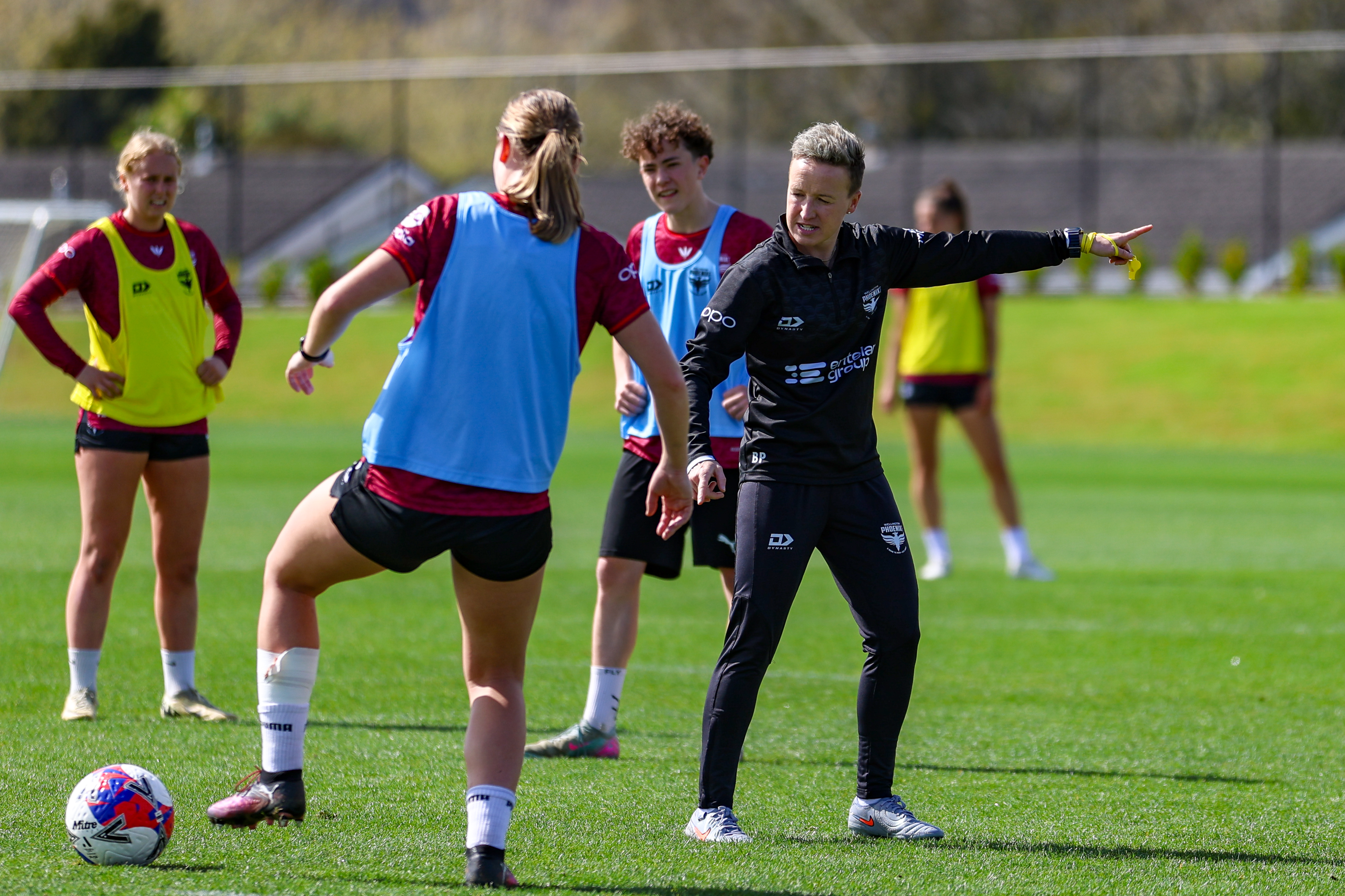 Ninja A-League Round 3 Match Preview - Wellington Phoenix