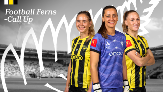 Ferns call-up Nix trio