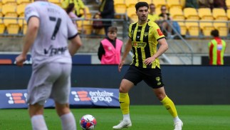 Isuzu UTE A-League Round 13 Match Preview