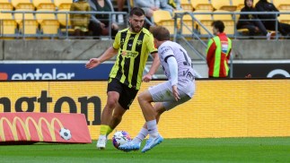 Isuzu UTE A-League Round 14 Match Preview