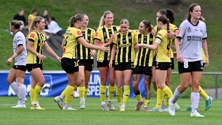 Ninja A-League Round 14 Match Review