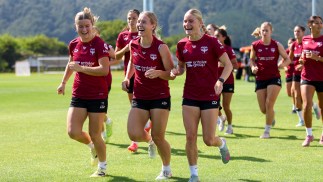 Ninja A-League Round 13 Match Preview