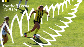 Vlok one of seven Nix called up to the Ferns
