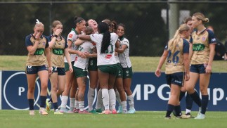 Ninja A-League round 15 Match Review