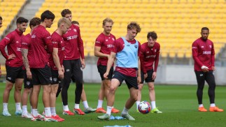 Isuzu UTE A-League Round 22 Match Preview