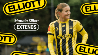 Ferns wingback sticks with the Nix